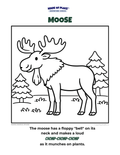 Moose Colouring Page