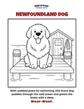 Newfoundland Dog Colouring Page